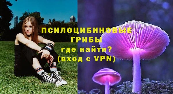 прущие крисы Абдулино